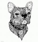 Complex Coloring Pages Of Animals Home  sketch template