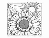 Free Printable Sunflower Coloring Pages sketch template