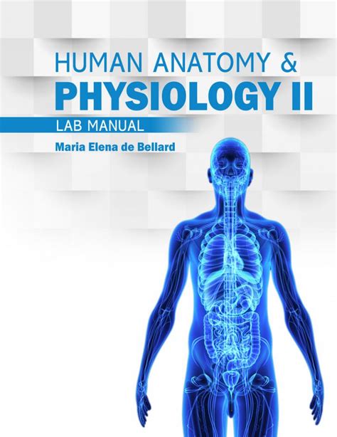 Anatomy & Physiology II Lab Manual | Higher Education