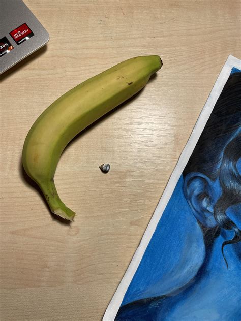 My white pencil after finishing an art piece, banana for scale : r/BananasForScale