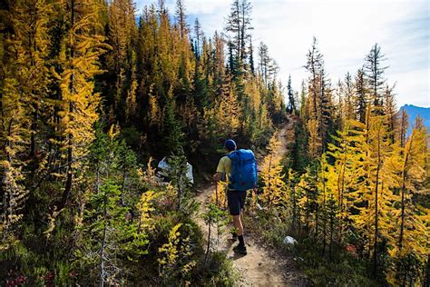 The USA's most famous hiking trails are asking people to stay away