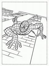 Hudyarchuleta Spiderman Coloring Pages Free Printable sketch template
