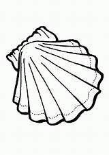 Seashell Coloring Pages For Kids sketch template