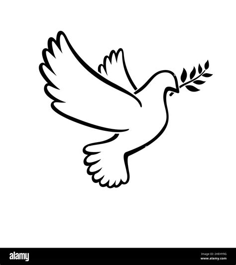 beautiful flying white peace dove pigeon bird outline with olive branch silhouette vector ...