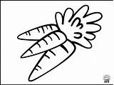Coloring Picture Carrot sketch template