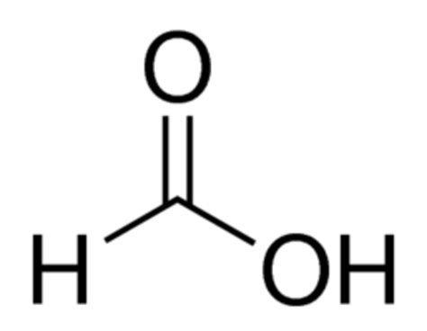 Chem-Impex International, Inc. Magnesium chloride hexahydrate, 7791-18-6, | Fisher Scientific