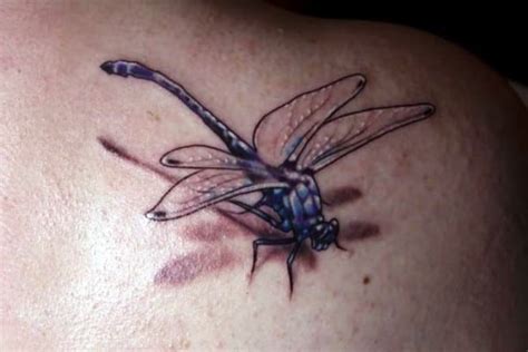 160 Beautiful Dragonfly Tattoo Designs & Meanings