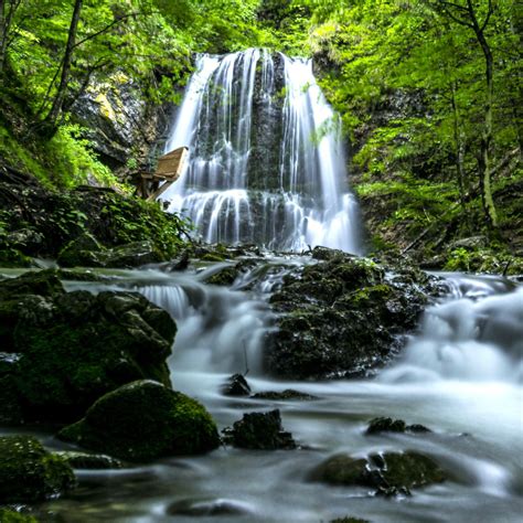 Soothing Sounds - Waterfall Relaxing Music With Nature Sounds | iHeart