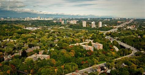 Fall colours arrive in Toronto