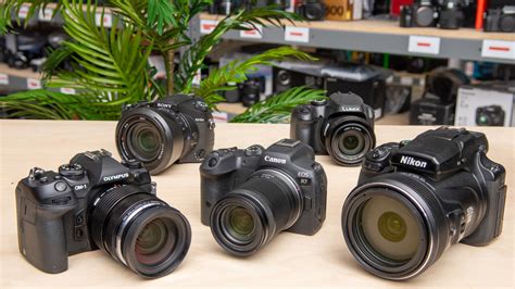 The 6 Best Cameras For Wildlife Photography - Winter 2024: Reviews - RTINGS.com