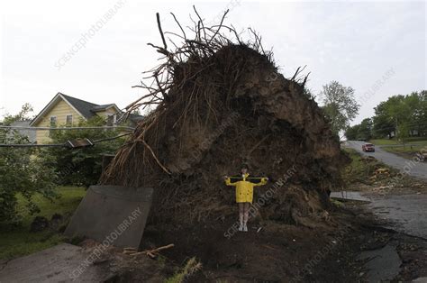 Tornado damage - Stock Image - E158/0067 - Science Photo Library