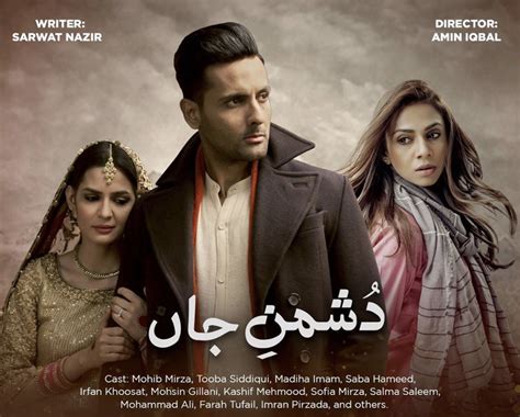 Best Pakistani Drama 2025 - Franni Stevana