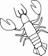 Lobster Coloring Pages  Cool sketch template