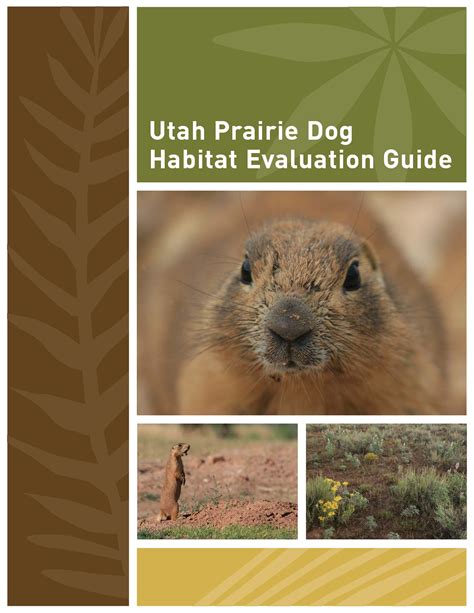 SOLUTION: Utah prairie dog habitat evaluation guide - Studypool