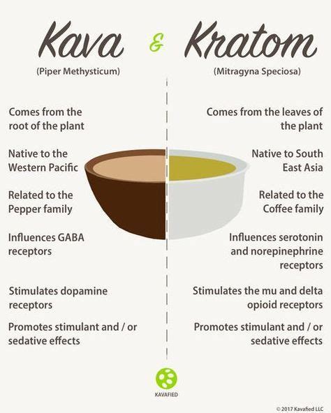 47 Kava Kava ideas | kava, herbalism, health