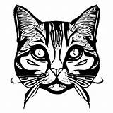 Whiskers And Paws Coloring Page · Creative Fabrica sketch template