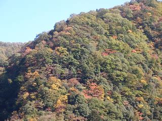 Autumn color @ From Hatonosu to Mount Mitake | Guilhem Vellut | Flickr