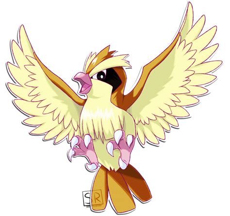 016 Pidgey | Pokemon pidgeot, Pokemon drawings, Bird pokemon