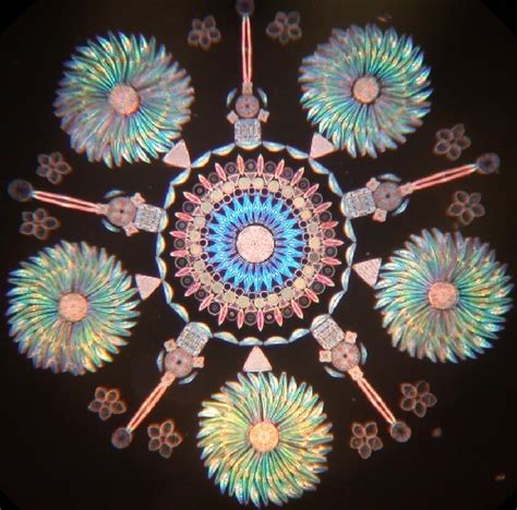 Rare art of diatom arrangement by Klaus Kemp - Art Kaleidoscope