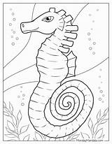 Realistic Seahorse Coloring Page sketch template