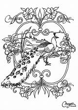 Animals peacock  Peacocks Adult Coloring Pages sketch template