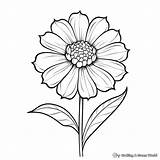 Zinnia Coloring Pages  Free & Printable sketch template