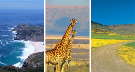 12 essential South Africa travel tips - things NOT to do when you visit!