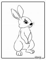 Rabbit Coloring Pages Free PDF Printables  Simply Love sketch template