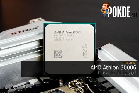 AMD Athlon 3000G Review – Pokde.Net