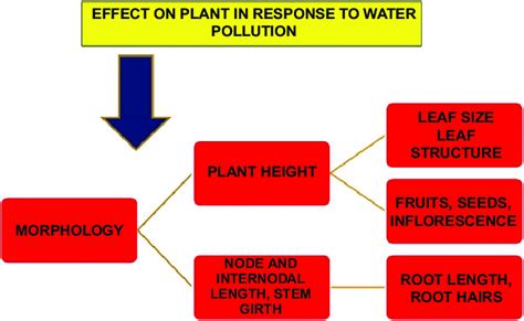 Effect of water pollution on plants. Ground-level pollutants like ...