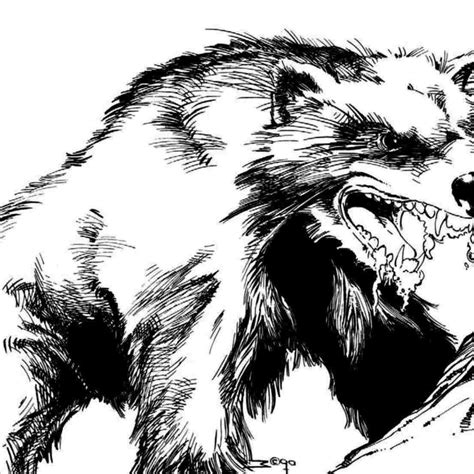 Wolverine Animal Drawing at PaintingValley.com | Explore collection of ...