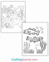 15  Pond Coloring Pages Free PDF sketch template