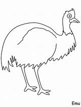 Emu coloring Pages sketch template