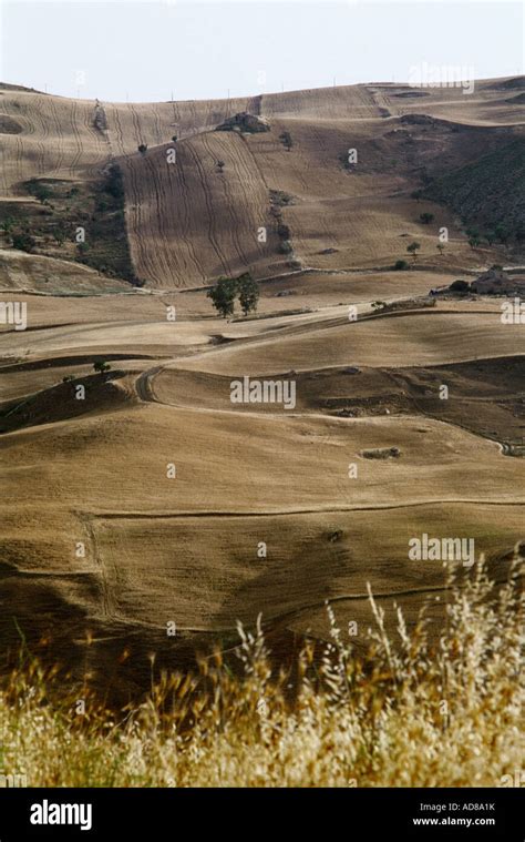 Rolling landscape with fields Stock Photo - Alamy