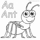 Ant Coloring Page Pdf sketch template