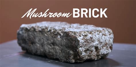 [VIDEO] Creating a Brick out of Mushrooms — Construction Junkie