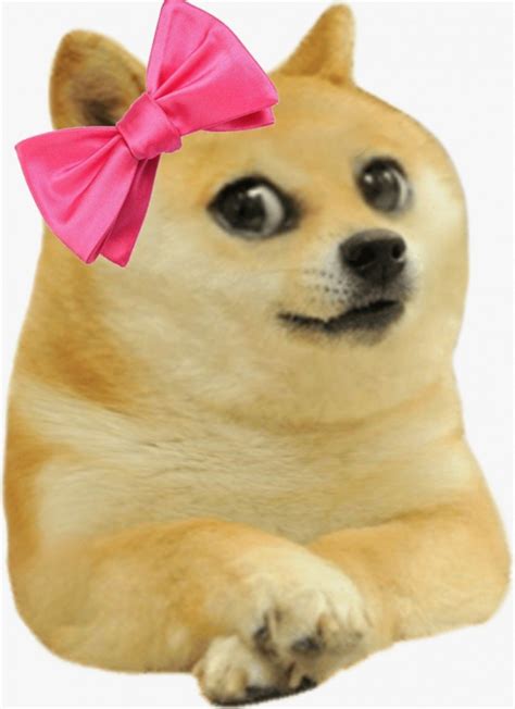 Doge Meme Template Collection - Meme Templates Download