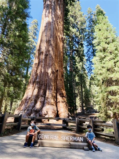 Sequoia and Kings Canyon National Parks Hosted 1.2 Million Visitors in ...