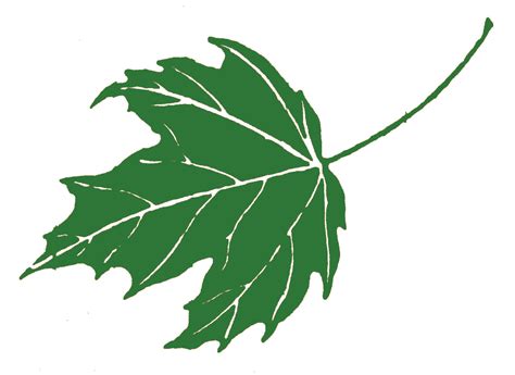 maple leaf clipart - Clip Art Library