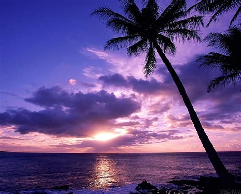 Nothing better. Beautiful sunset, Sunset , Beach sunset, Purple Ocean Sunset HD wallpaper | Pxfuel