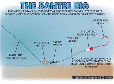 The Santee Rig Or Santee Cooper Rig For Catfish | Catfish rigs, Bottom fishing rigs, Catfish fishing