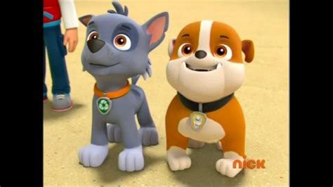 Rocky/Gallery/Pups Save an Ace | PAW Patrol Wiki | FANDOM powered by Wikia