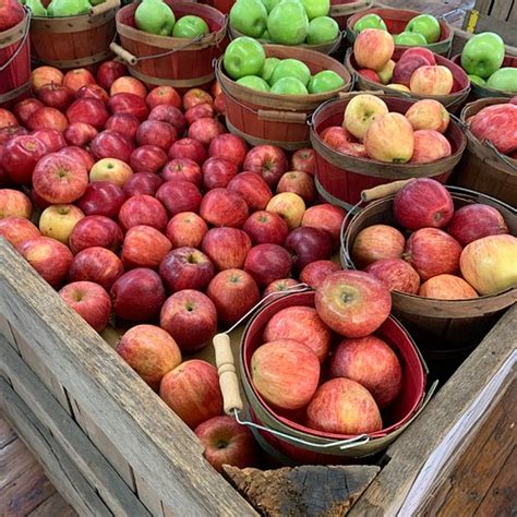 13 Places for the Best Apple Picking in Connecticut - Days Out On The Farm