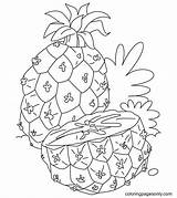 Pineapple Coloring Page  Free Printable Pages sketch template