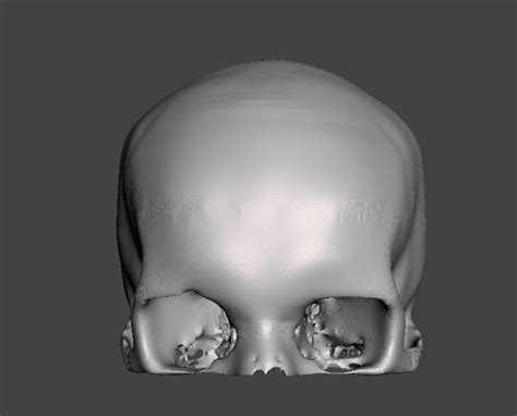 Human Skull - female free 3D model | CGTrader