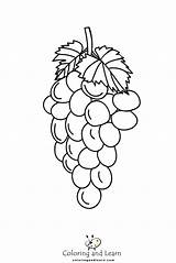 Grape Coloring Pages FREE 2025  And Learn sketch template