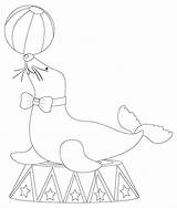 Circus Seal Coloring Page sketch template