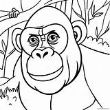 Gorilla Coloring Page 1230 977 sketch template