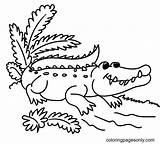 Alligator Coloring Pages  For Kids And Adults sketch template