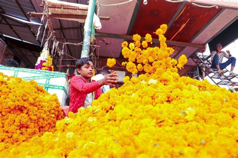 Ghazipur flower market blooms again - Media India Group